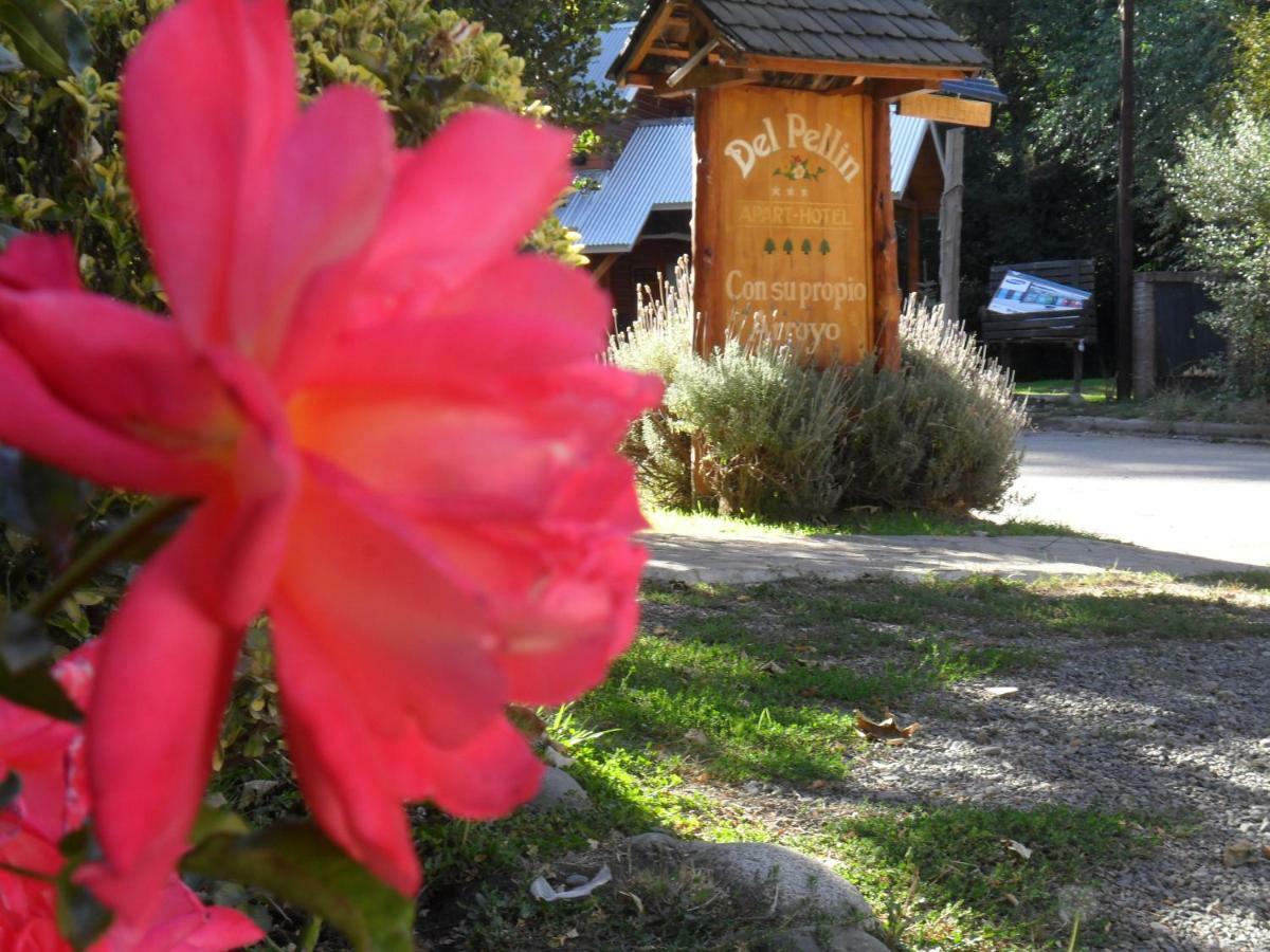 hostel del Pellin San Martín de los Andes Exterior foto